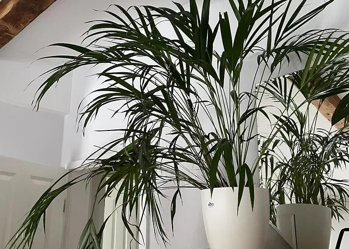 Suesse In Gruenderzeitvilla Бад-Гарцбург